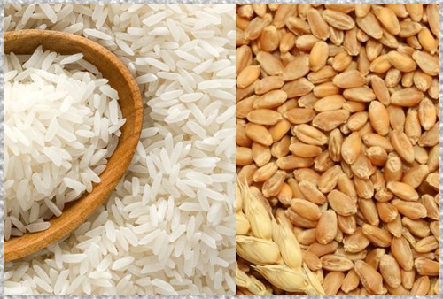 Wheats & Rice