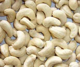 Cashew Kaju